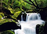 奇山偉岳稱雄峻——寧夏、甘肅、陜西交界之六盤山（陳玉民）