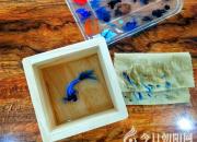 看過它，才知道什么叫栩栩如生（丁方圓）