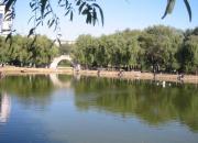 江河萬里海湖渾——南運(yùn)河（陳玉民）