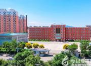 開展精準校本研訓，打造教師成長梯隊（郭淑芳）