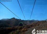 “驢話”連篇（之二十二）（王中原）