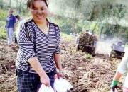 咬文嚼字，看似容易（王中原）