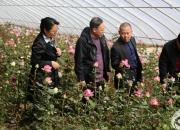 以花為媒，開啟校企合作新篇章（劉忠智）