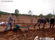 【今日朝陽(yáng)網(wǎng)】擘挲與耢（l?。┳樱▍歉瑁?></a>
            <div   id=