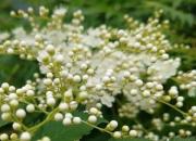 【今日朝陽(yáng)網(wǎng)】父親（孫宏文）