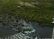 【今日朝陽(yáng)網(wǎng)】東山下的小河（孫宏文）