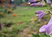 帶您走進(jìn)如詩(shī)如畫(huà)的工校校園