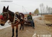 【今日朝陽(yáng)網(wǎng)】大車店里收草料（孫宏文）