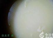 【今日朝陽(yáng)網(wǎng)】喝米湯（孫宏文）