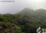 【今日朝陽(yáng)網(wǎng)】山頂看火車（孫宏文）