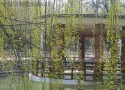 【今日朝陽(yáng)網(wǎng)】捋樹(shù)葉（孫宏文）