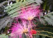 欺？趨（趍）？（吳歌）