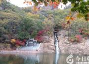 【今日朝陽(yáng)網(wǎng)】幺幺（孫宏文）