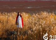 【今日朝陽(yáng)網(wǎng)】泡？泊？（吳歌）