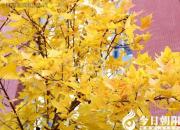 聞過則喜，從善如流（王中原）