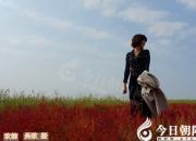 【今日朝陽(yáng)網(wǎng)】料？尥？（吳歌）