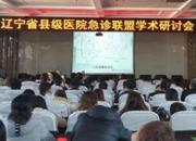 專(zhuān)家齊聚凌源市中心醫(yī)院,共話(huà)縣級(jí)醫(yī)院急診事業(yè)新發(fā)展（李蔚藍(lán) 趙海霞）