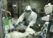 感人！天使出征，灑下一路師生情（李延華）