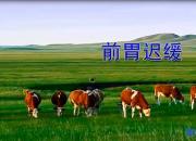 【養(yǎng)殖】前胃遲緩｜公益課（魏坤）