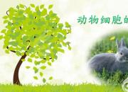 【養(yǎng)殖】動物細(xì)胞的基本結(jié)構(gòu)｜公益課（馮會中）