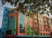 健康、快樂、發(fā)展——園本課程浸潤美好童年（王海燕）