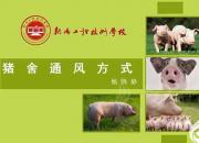 【養(yǎng)殖】豬舍通風(fēng)方式｜公益課（楊曉靜）