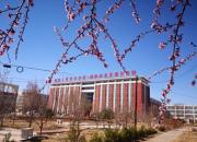 抗疫期間，我給學生上了一堂特殊的安全教育課（林靜）