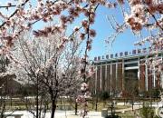 關(guān)注：朝陽工校教師精心設(shè)計示范的學生居家鍛煉指南來了（六）