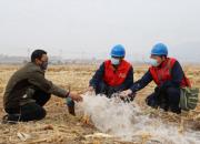 電通阡陌 不負(fù)春光（邊琳）