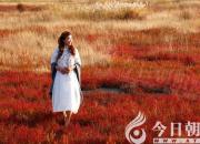 【今日朝陽(yáng)網(wǎng)】怦怕？捧怕？（吳歌）