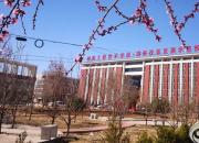 開學在即，你準備好了嗎？（張素梅）