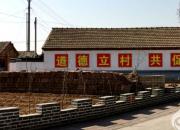 激發(fā)脫貧內(nèi)生動(dòng)力，探索“志智雙扶”舉措（毛翠麗）