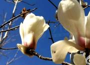 關(guān)注：朝陽工校教師精心設(shè)計示范的學生居家鍛煉指南來了（七）