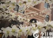 愛(ài)每時(shí)每刻都在萌發(fā)（陳珈）