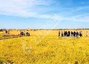 “中央公園杯·我與祖國同行”文化精品有獎征集活動啟事