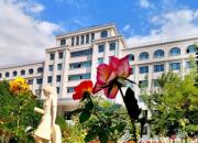 財(cái)經(jīng)學(xué)校助你實(shí)現(xiàn)電商夢