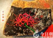 【今日朝陽網(wǎng)】水滸情仇錄（一百三十七）（辛生幟匯）