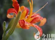 那個(gè)令我心生雀躍的地方——本溪關(guān)門(mén)山（陳珈）