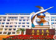 朝陽市藝術(shù)高級(jí)中學(xué)正式報(bào)名，招生名額有限，報(bào)名從速喲！