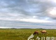 【今日朝陽(yáng)網(wǎng)】趿？拖？（吳歌）