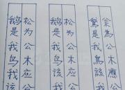 廉價夸獎，可以休矣（王中原）