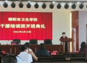 加強(qiáng)能力建設(shè) 打造高素質(zhì)專業(yè)化干部隊(duì)伍（陳宏偉 李延華）