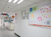 安寧療護——生命終點的溫暖驛站