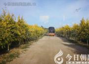 王中原繞口令第516則——榨汁機（王中原）