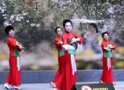 點(diǎn)贊！他們用文藝演出喜迎國(guó)慶