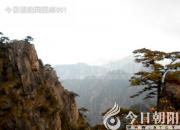 獸態(tài)百姿——犰狳（詩(shī)/陳玉民）