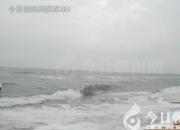 獸態(tài)百姿——鯊魚(yú)（詩(shī)/陳玉民）