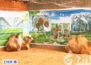 獸態(tài)百姿——駱駝（詩(shī)/陳玉民）