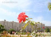 寫(xiě)給老師的一封信（陸雨山）