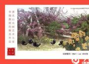 【畫意詩情·每周詩畫】賞《似錦繁華》（李剛 陳玉民）